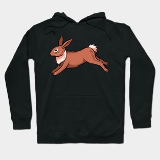 Hare Rabbit Hoodie